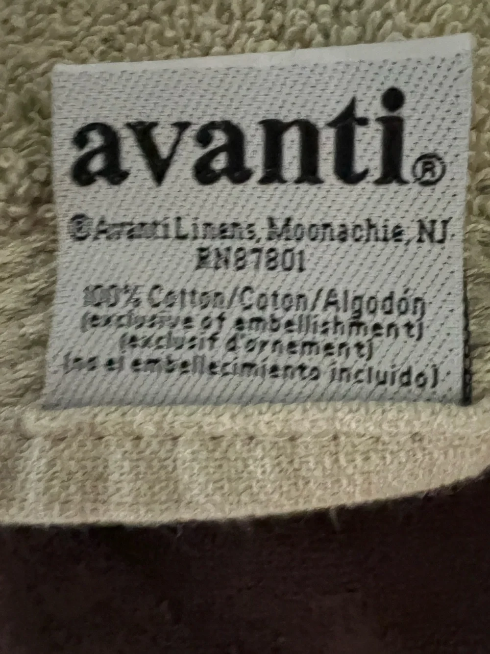 Avanti Decorative Pastel Green Large Barh Towel with decorative trim
